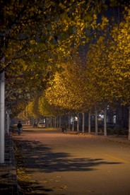 秋夜小路