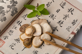 贝母