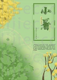 小暑海报