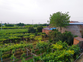 乡村田园风景