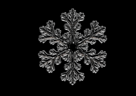 雪花