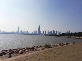 深圳湾