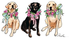 花环狗
