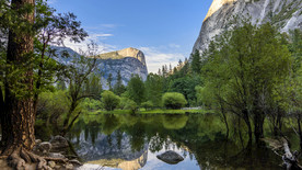 护眼背景 绿色护眼 绿色背景