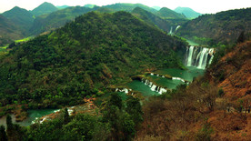 护眼背景 绿色护眼 绿色背景