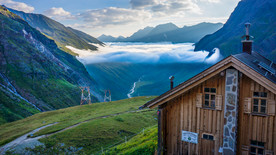 护眼背景 绿色护眼 绿色背景