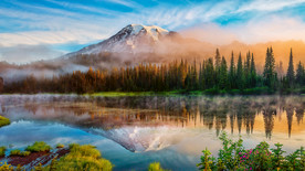 护眼背景 绿色护眼 绿色背景