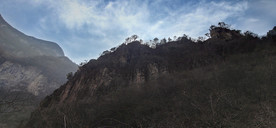 山