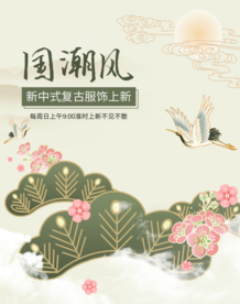 国潮新中式风女装服饰配件复古