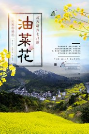 踏青旅游油菜花海报