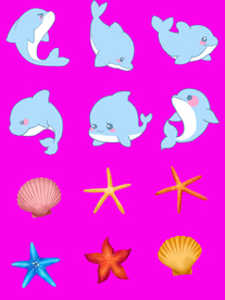海豚海星和贝壳
