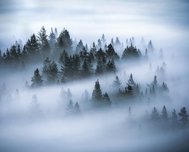 山林