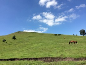 草原美景
