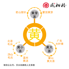 茶简介