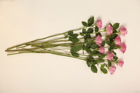 一束花
