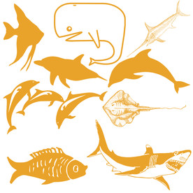 海洋生物