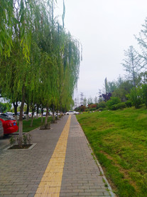 城市公园风景风景公园