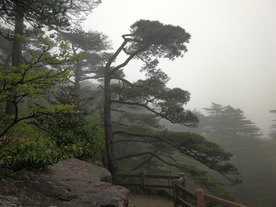 黄山美景