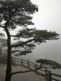 黄山美景
