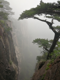 黄山美景