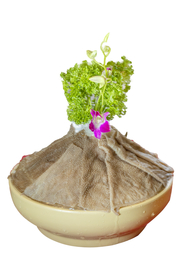 极品鲜毛肚