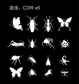昆虫剪影