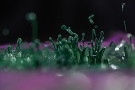 艺术油漆