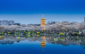 东湖风景区樱园