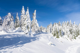 冬天雪景