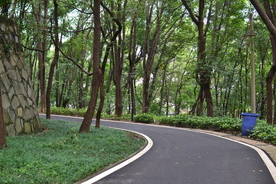 公园道路
