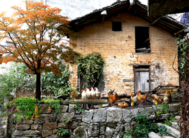 乡村