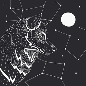 狼头  星座