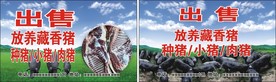 出售猪名片