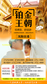 铂金王朝