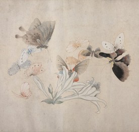 马荃_花卉蝴蝶图卷