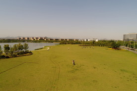 湖边草地