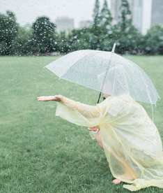 雨伞素材