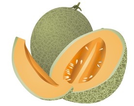 哈密瓜