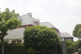 泰晤士 系列 34 旅游 初夏