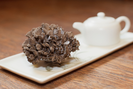 舞茸 灰树花 蘑菇 新鲜蘑 鲜