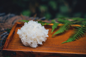 鲜银耳 新鲜银耳 蘑菇 新鲜蘑