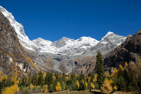 双桥沟红杉林美景