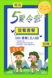 清新简洁夏令营促销系列海报