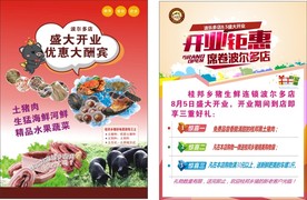 宣传单