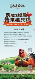 抓鸡大赛海报