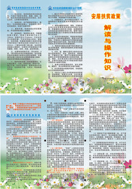 扶贫危房改造解读三折页