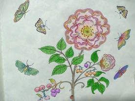 花 蝶