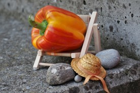 菜椒圆椒菜茄