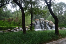 动物园风景