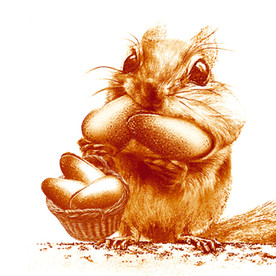 吃坚果的松鼠吃松子的松鼠